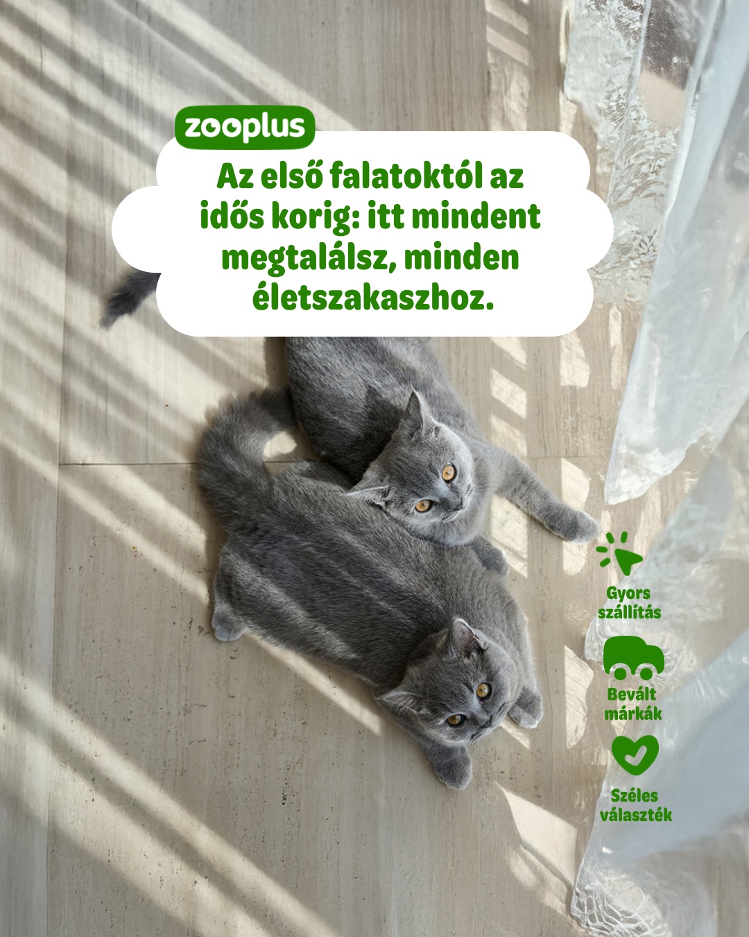 Zooplus INT Facebook ad