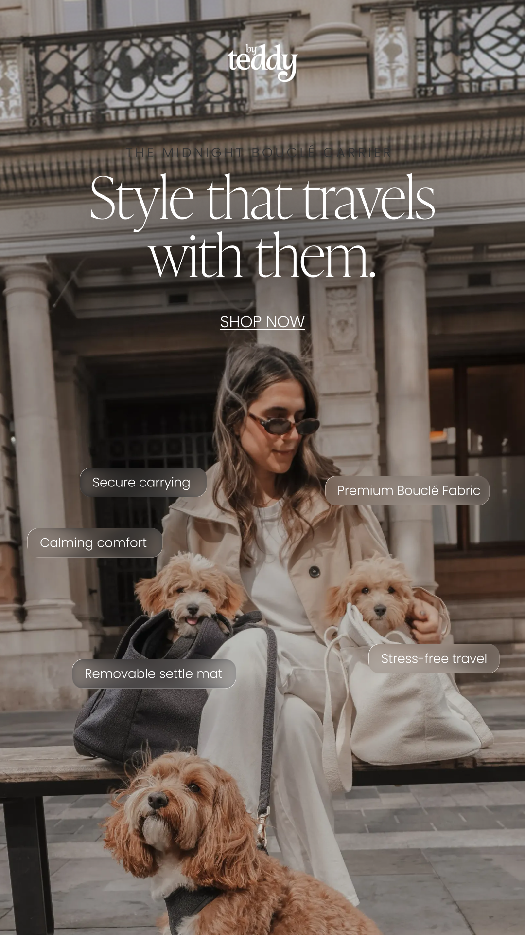 By Teddy Facebook ad