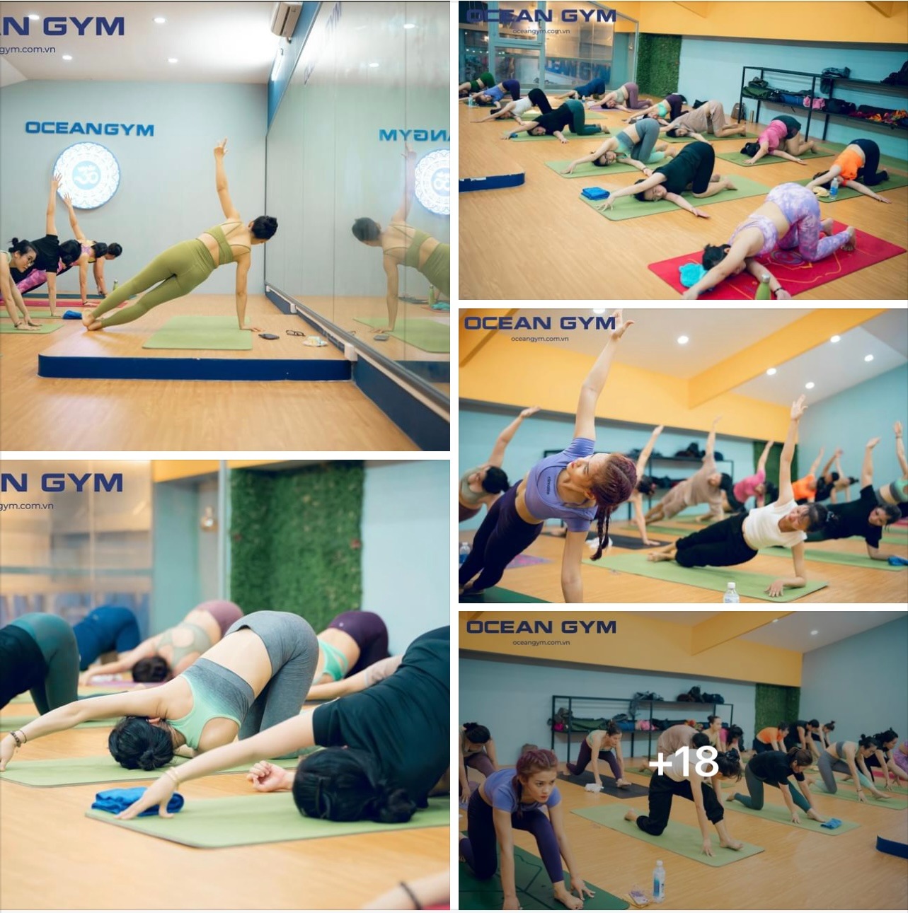 Ocean Gym Gò Vấp Facebook ad: KHAI GIẢNG LỚP YOGA CƠ BẢN CHO NGƯỜI MỚI!
