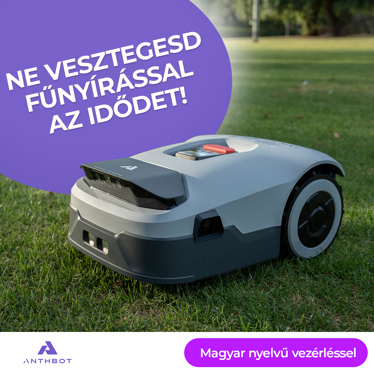 Anthbot Hungary Facebook ad: Rendeld meg még ma!
