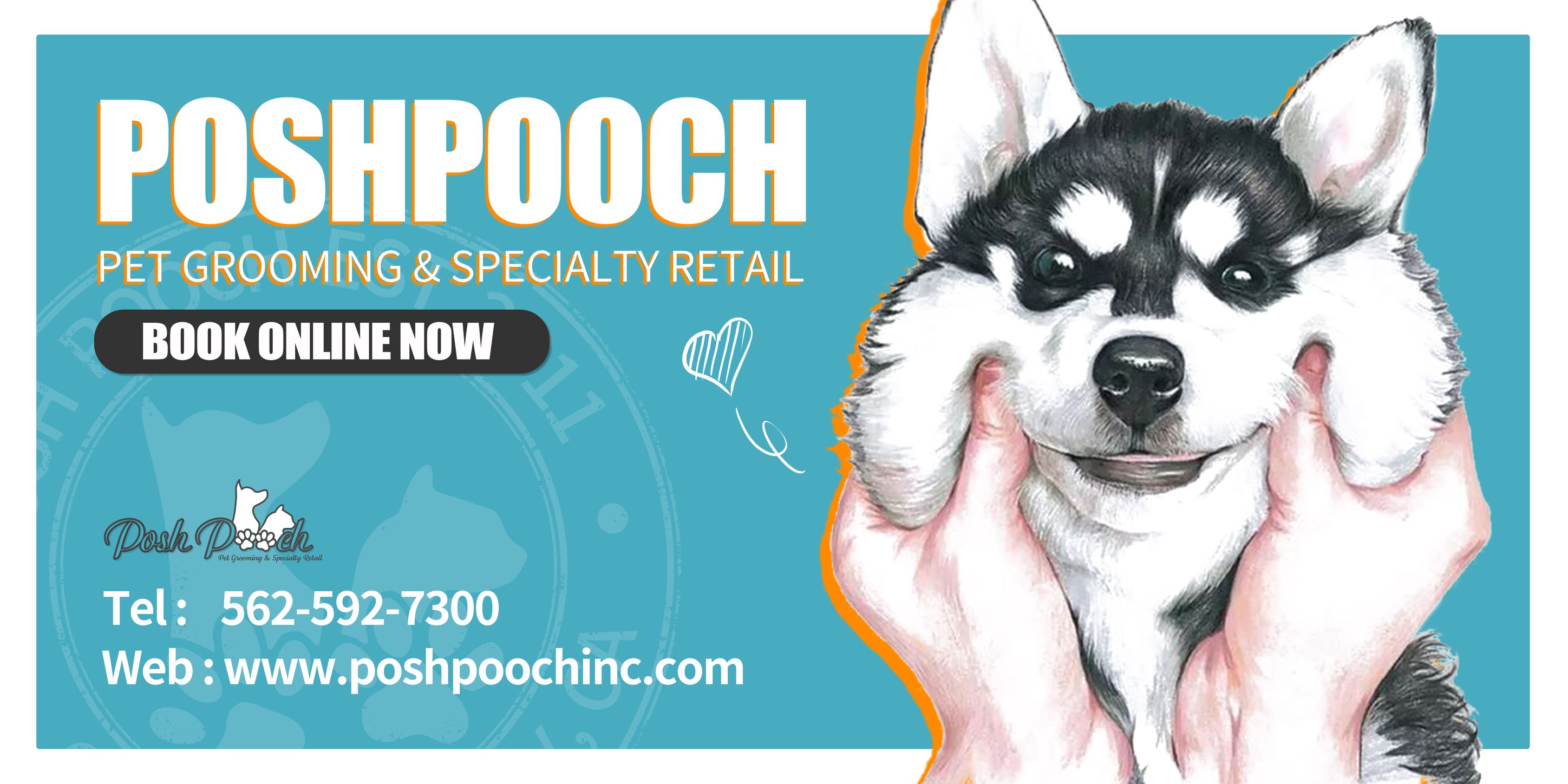 Posh Pooch Facebook ad