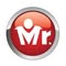 Mr Light India