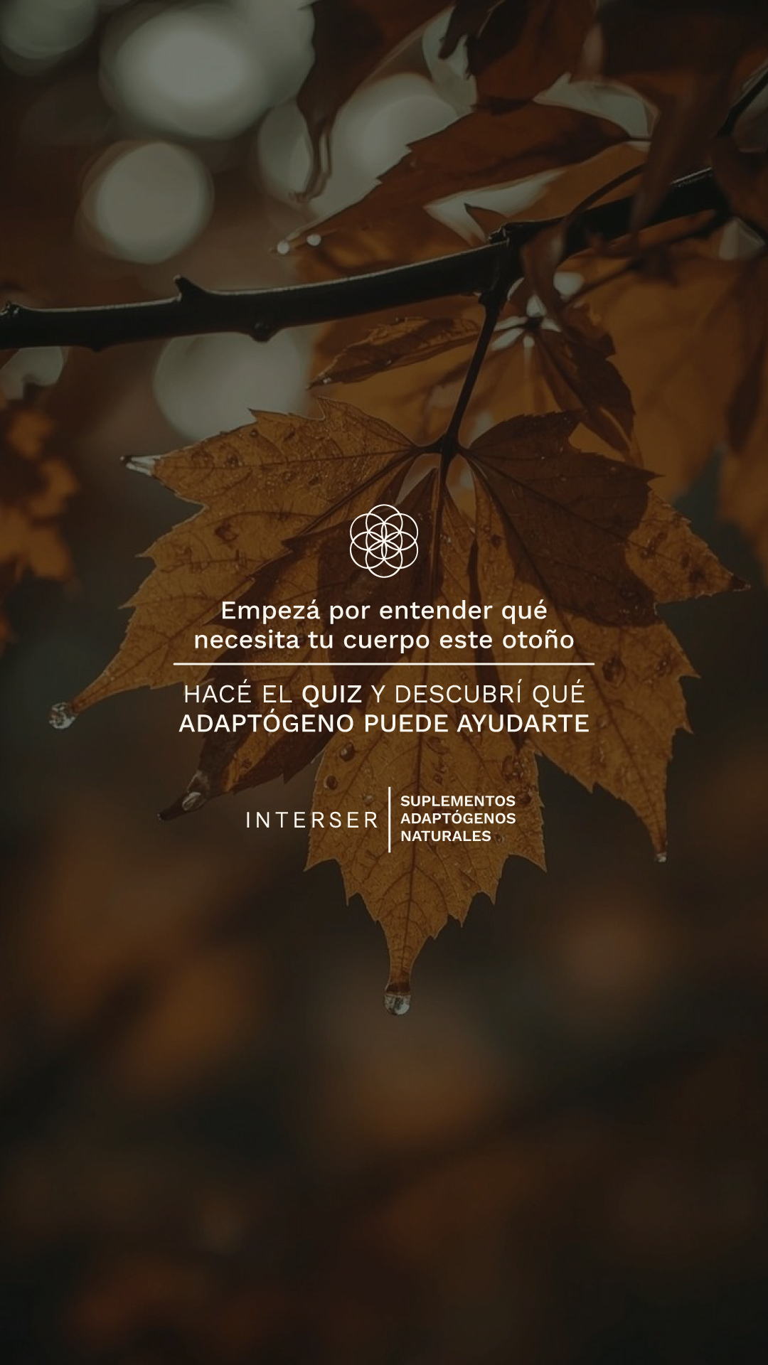 InterSer Facebook ad