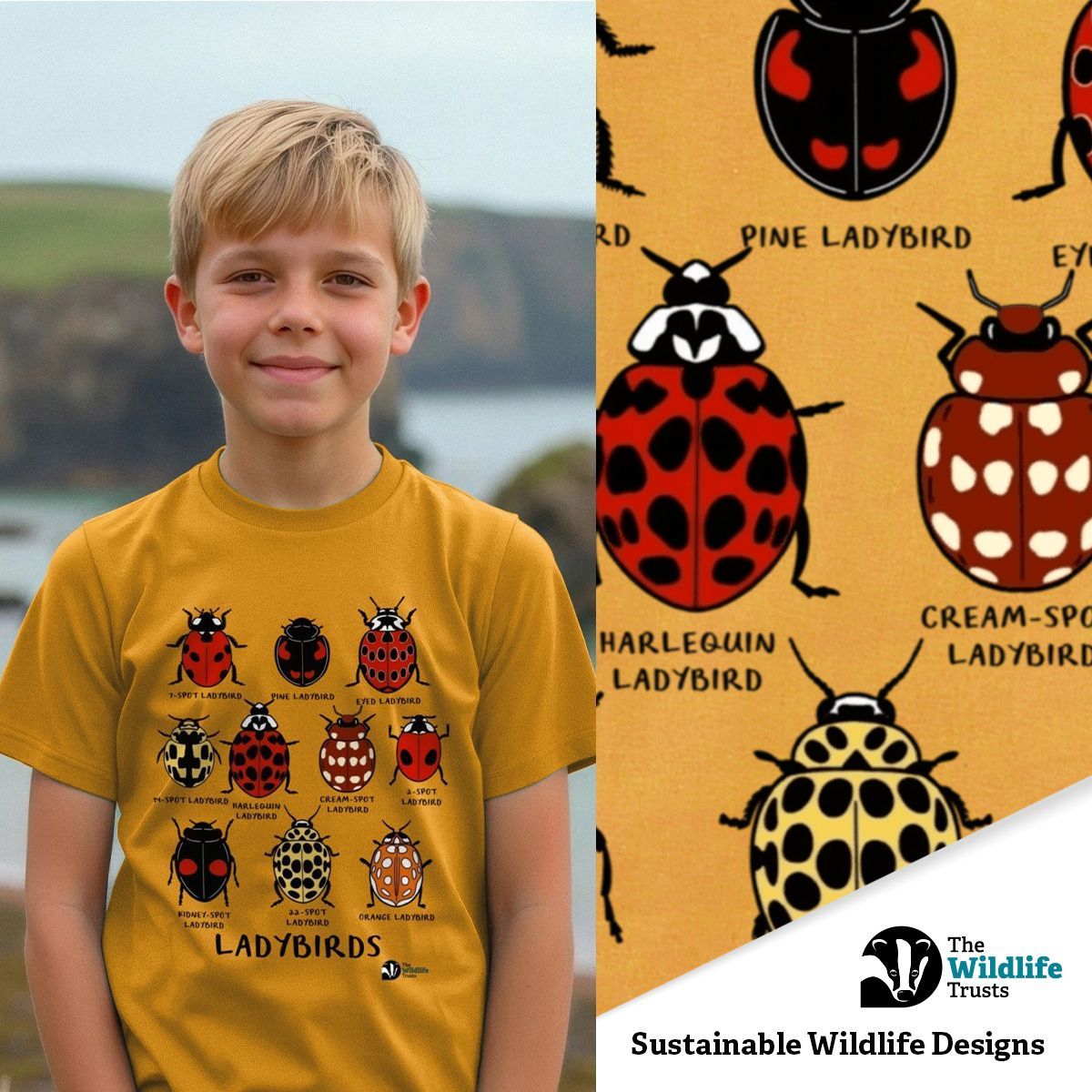 The Wildlife Trusts Facebook ad: Sustainable Kids Clothing for Nature Lovers!
