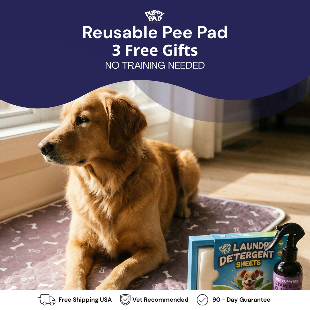 PuppyPad Facebook ad