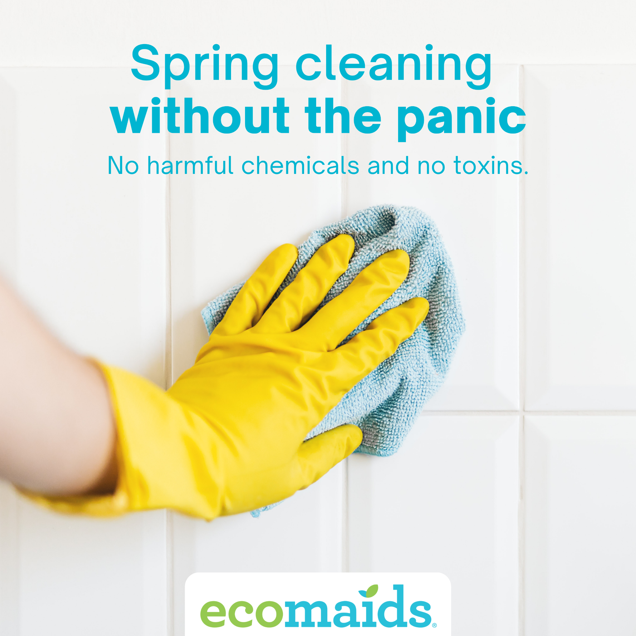 ecomaids Facebook ad