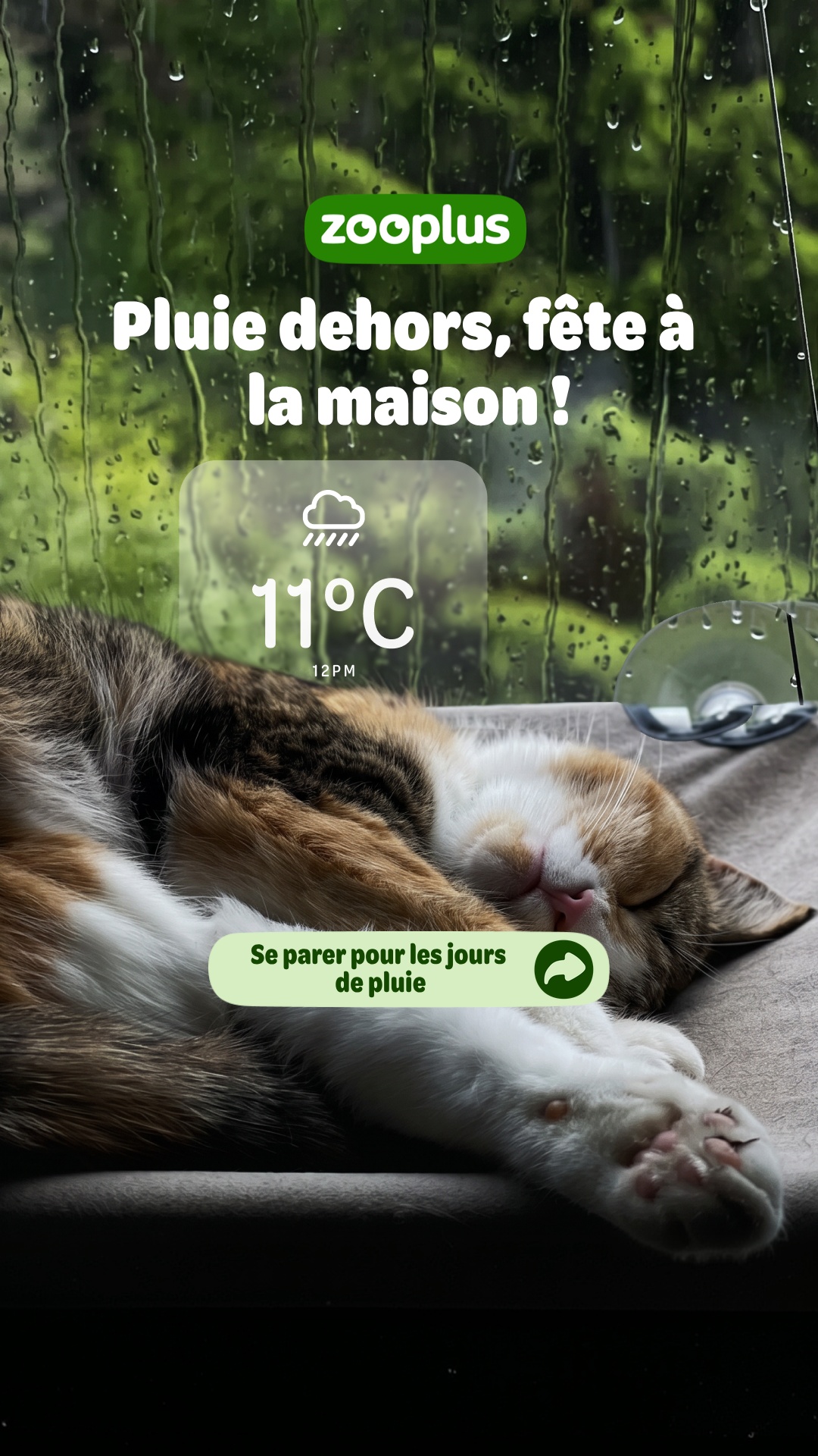 zooplus Facebook ad: Couchages pour chat - Panier, lit et couverture pas cher