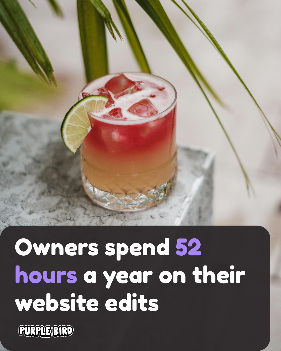 Purple Bird Agency Facebook ad