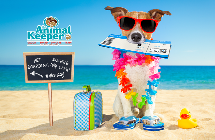 The Animal Keeper Facebook ad: Whether you're at work or away on an…