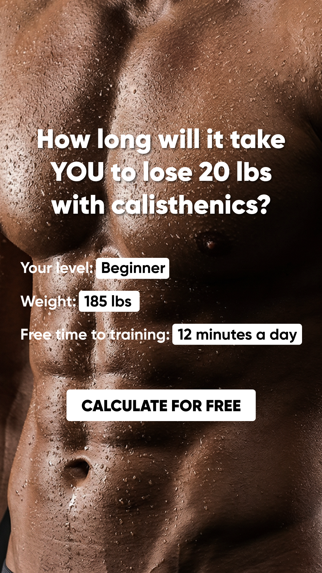 Vivid: Calisthenics Workouts Facebook ad from Aug 4, 2026