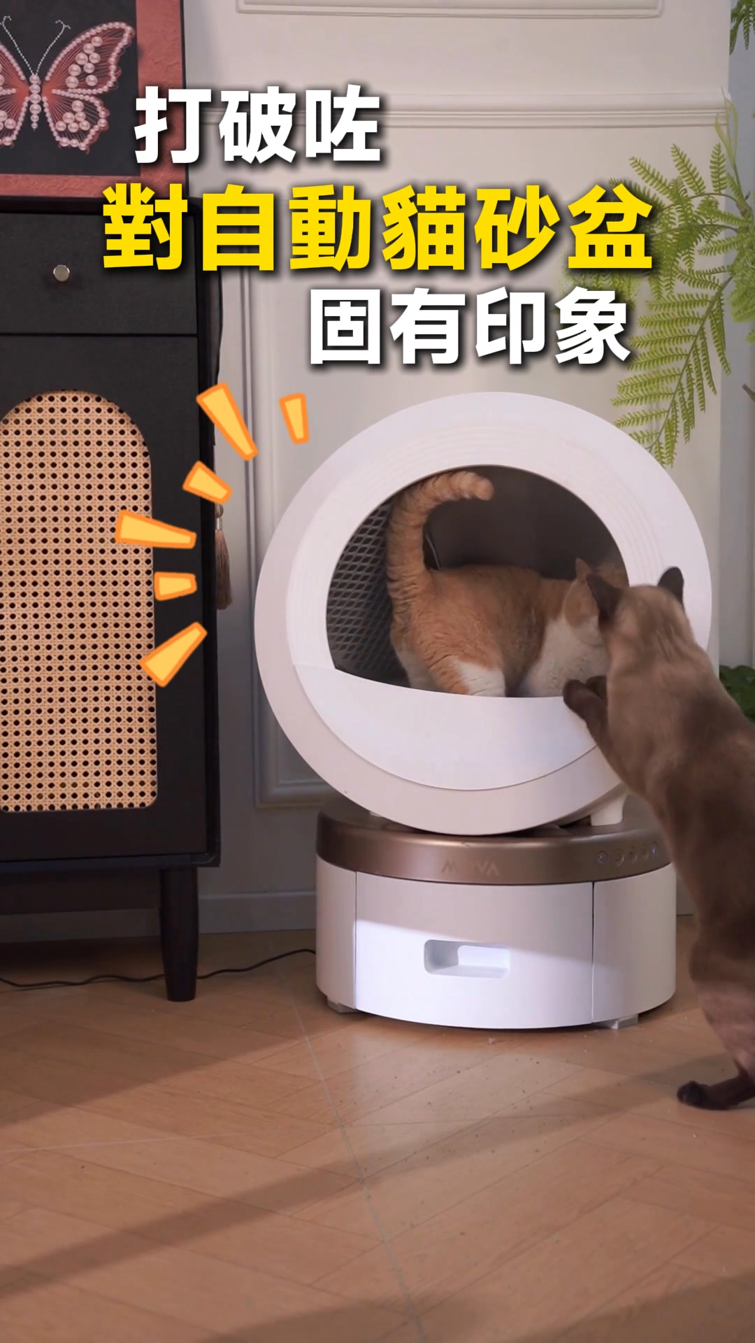 MOVA 香港 Facebook ad