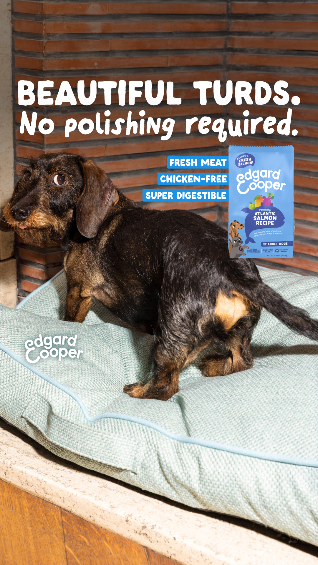 Edgard & Cooper US Facebook ad from Mar 31, 2026