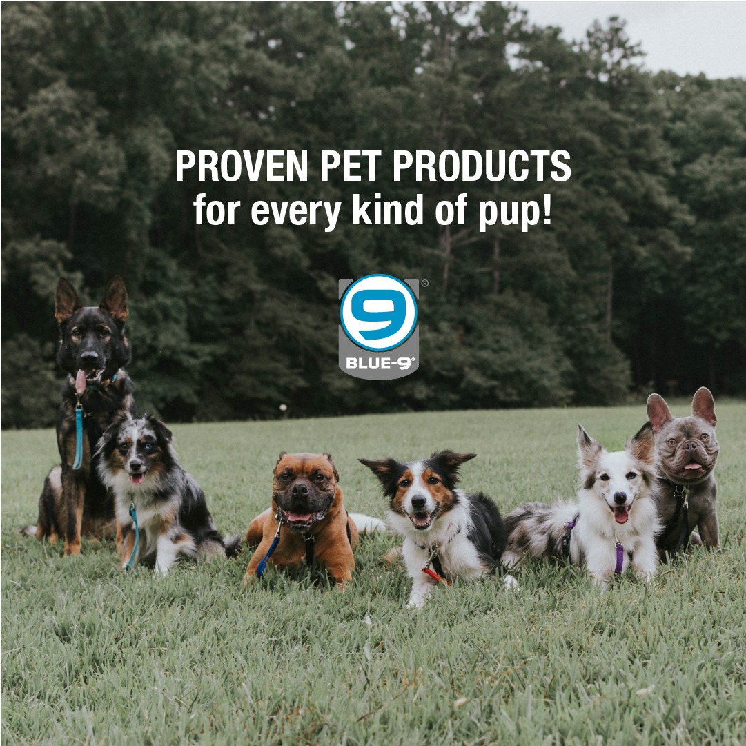 Blue-9 Pet Products Facebook ad