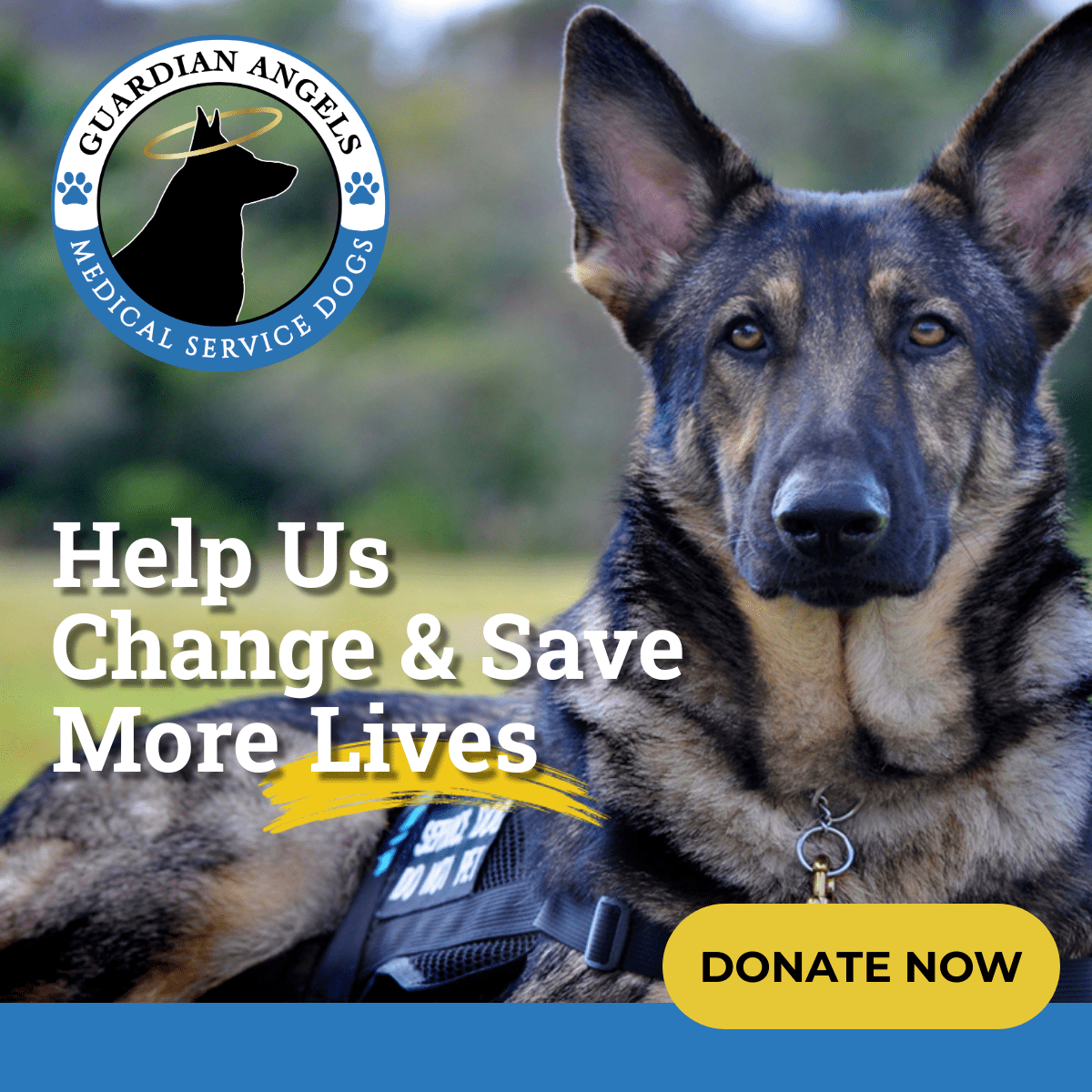 Guardian Angels Medical Service Dogs Inc Facebook ad
