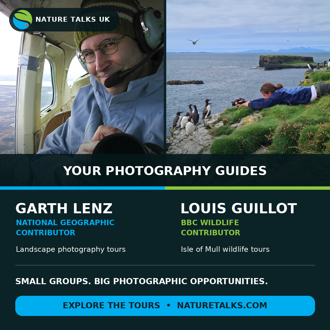 Nature Talks Photo Festival Facebook ad