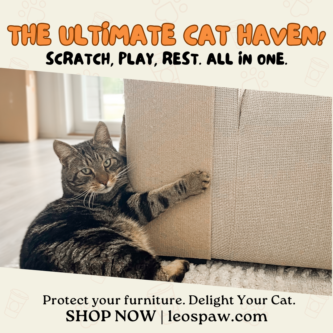 Leo's Paw Facebook ad
