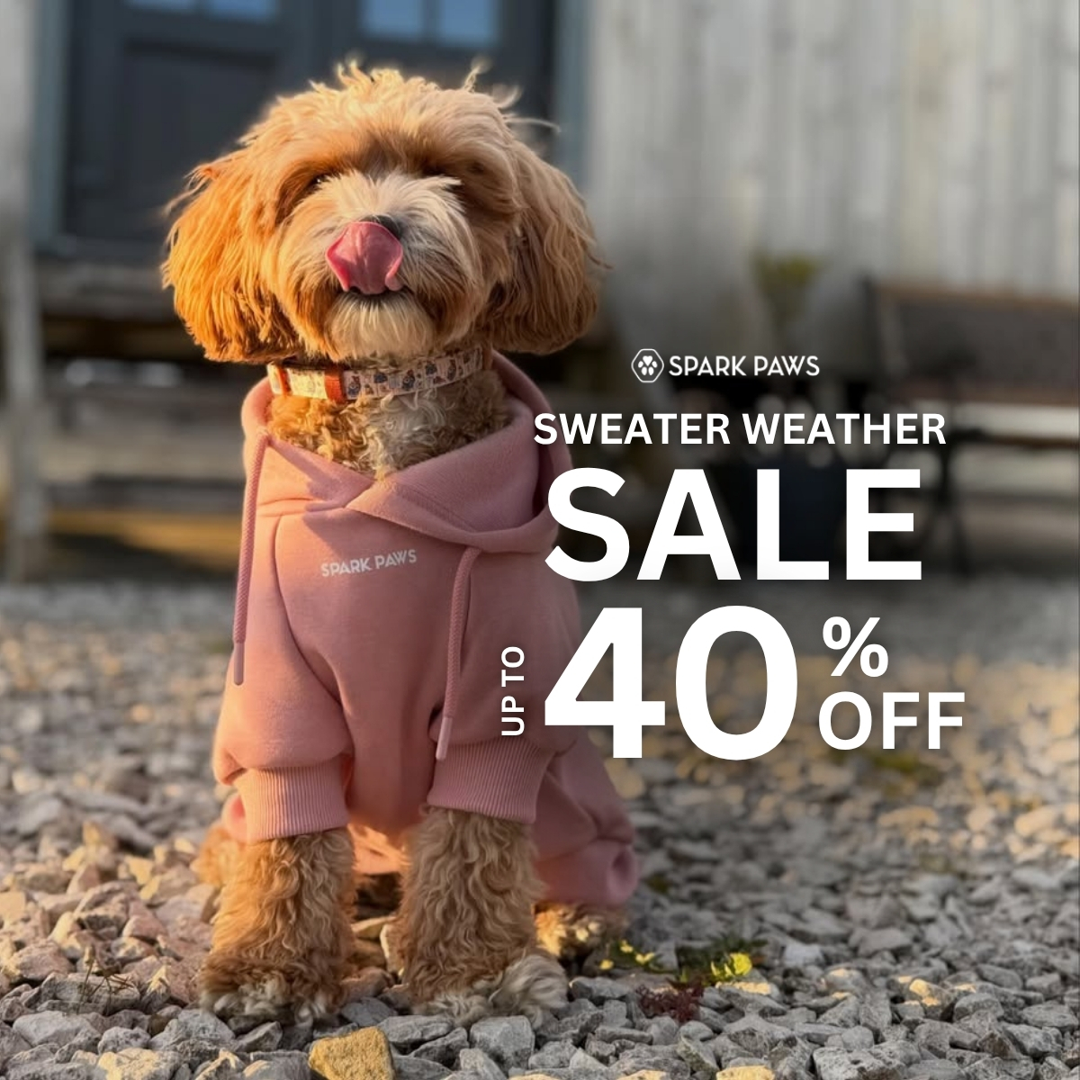 Spark Paws Facebook ad