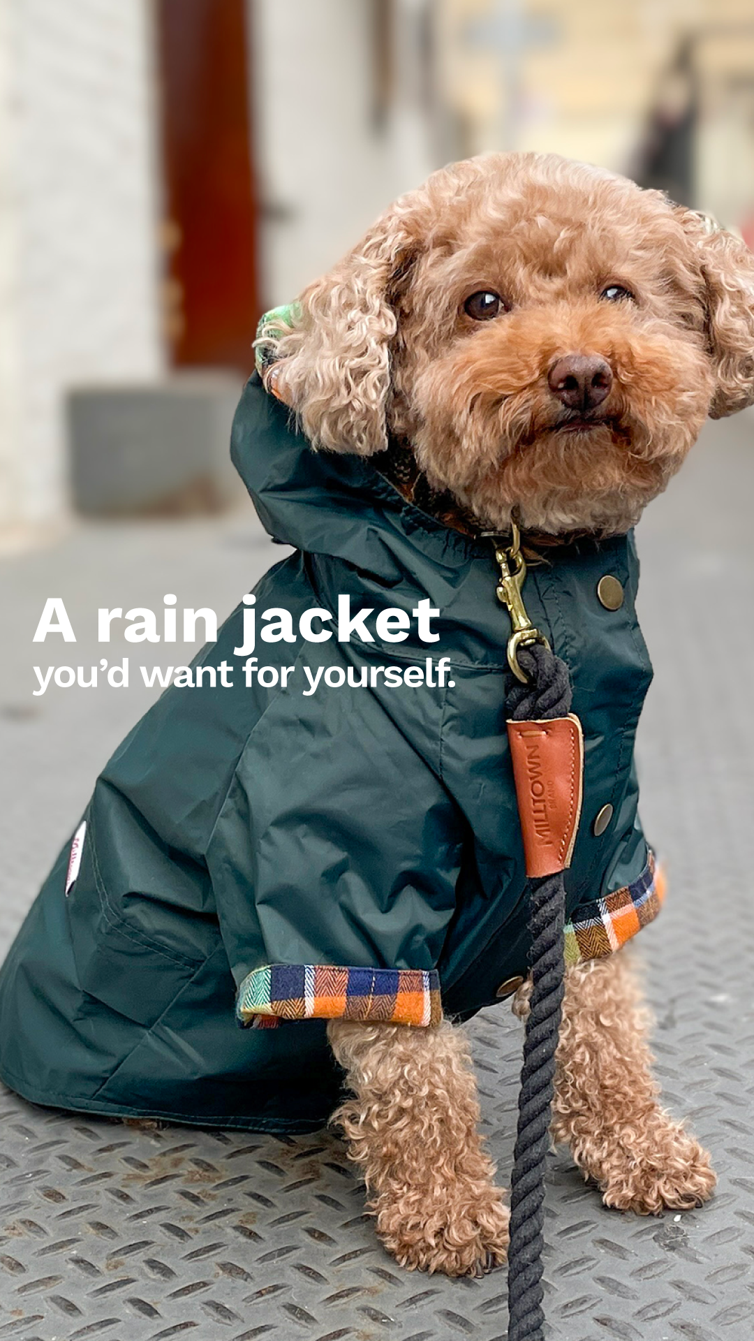 Milltown Brand Facebook ad: Keep Your Pup Dry In Style!