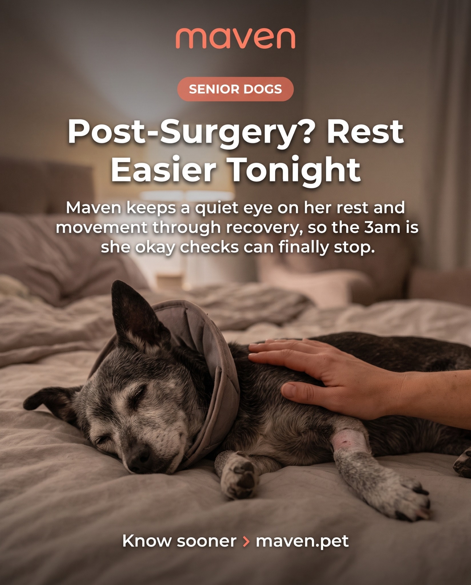 Maven Pet Facebook ad