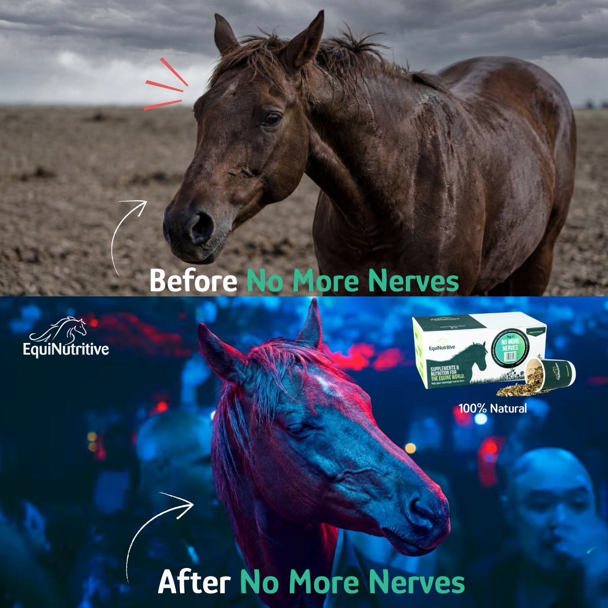 EquiNutritive Facebook ad