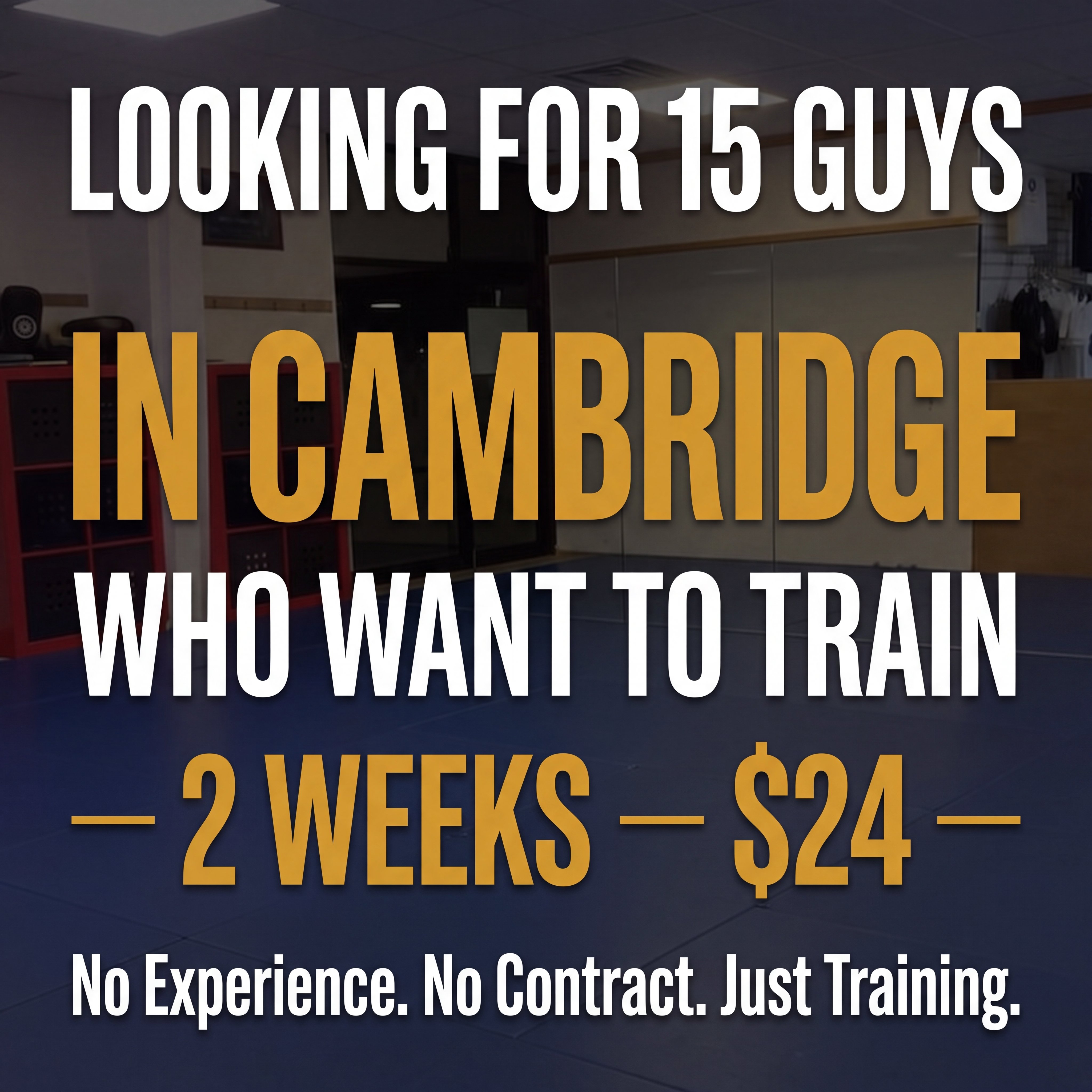 Boundless Martial Arts Facebook ad: 2 Weeks of Martial Arts Training, Just $24