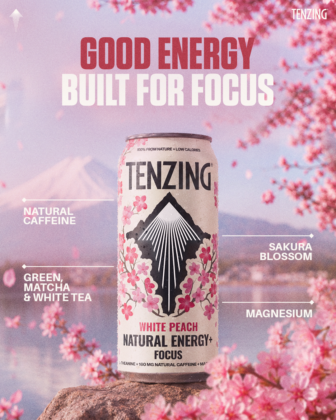 TENZING Natural Energy Facebook ad