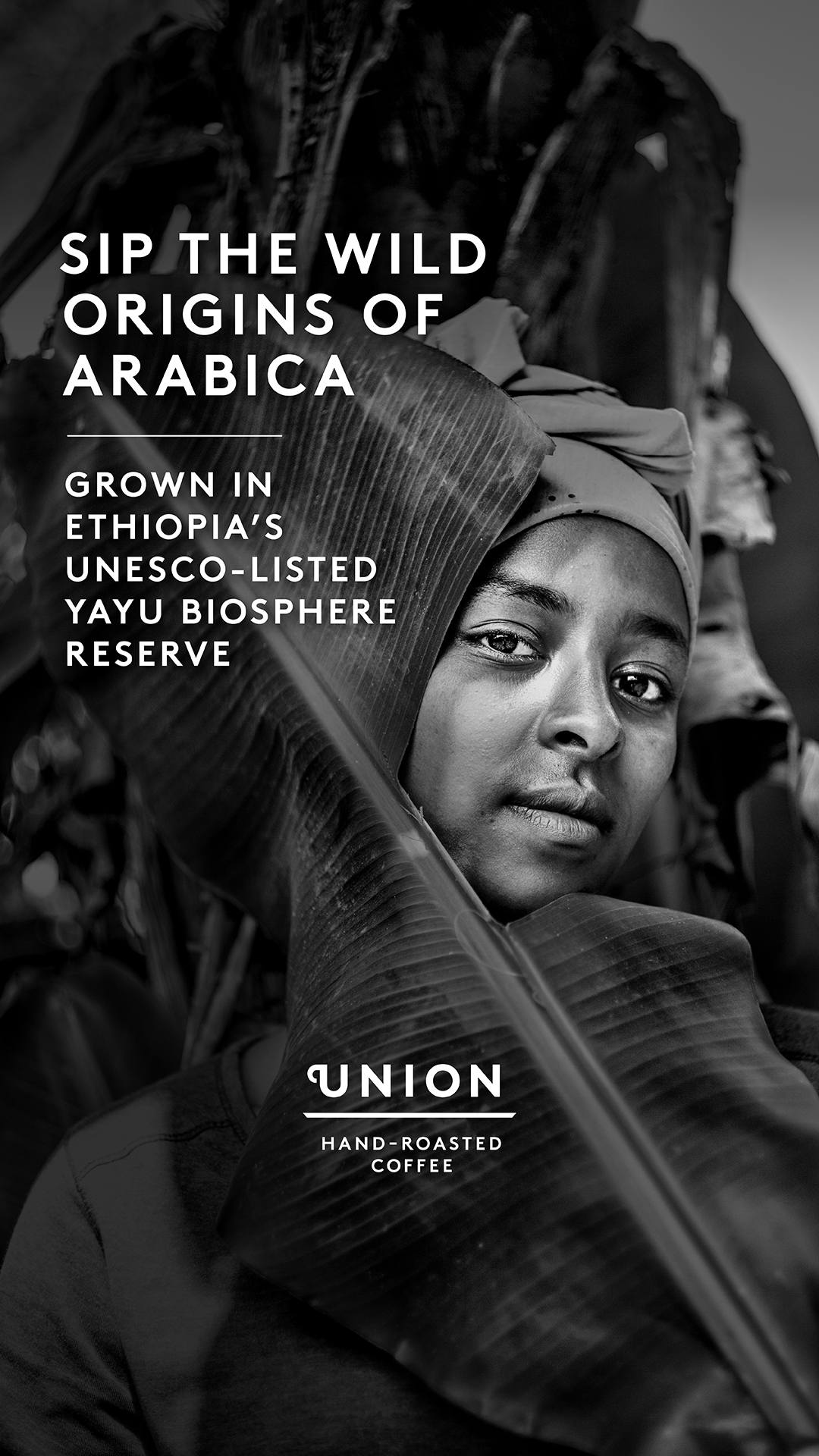 Union Hand-Roasted Coffee Facebook ad