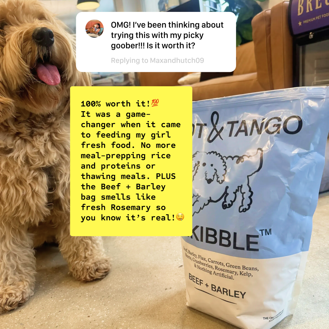 Lifeofvalandbiko Facebook ad