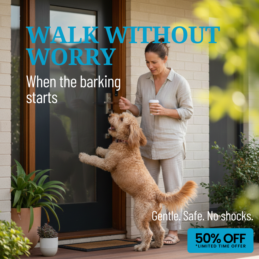 Hunters Doggy Daycare Facebook ad