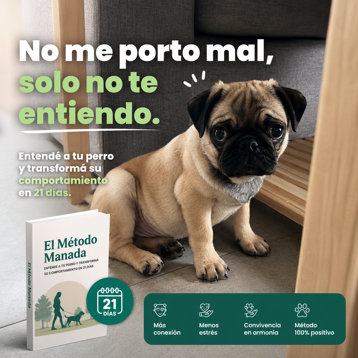DigitalMente Facebook ad: No está siendo terco. Solo no te entiende.