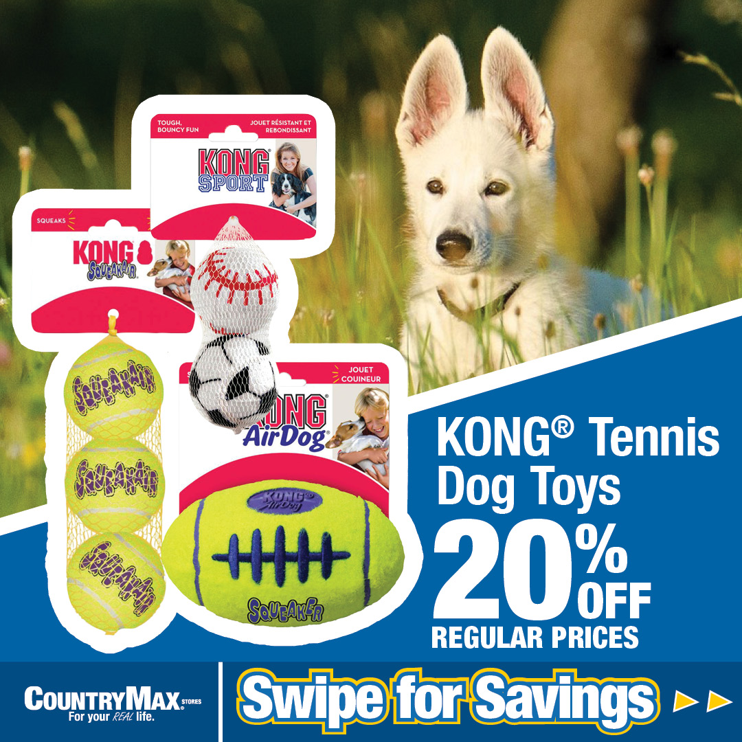 CountryMax Stores Facebook ad: August Dog Days of Summer mean hot deals…