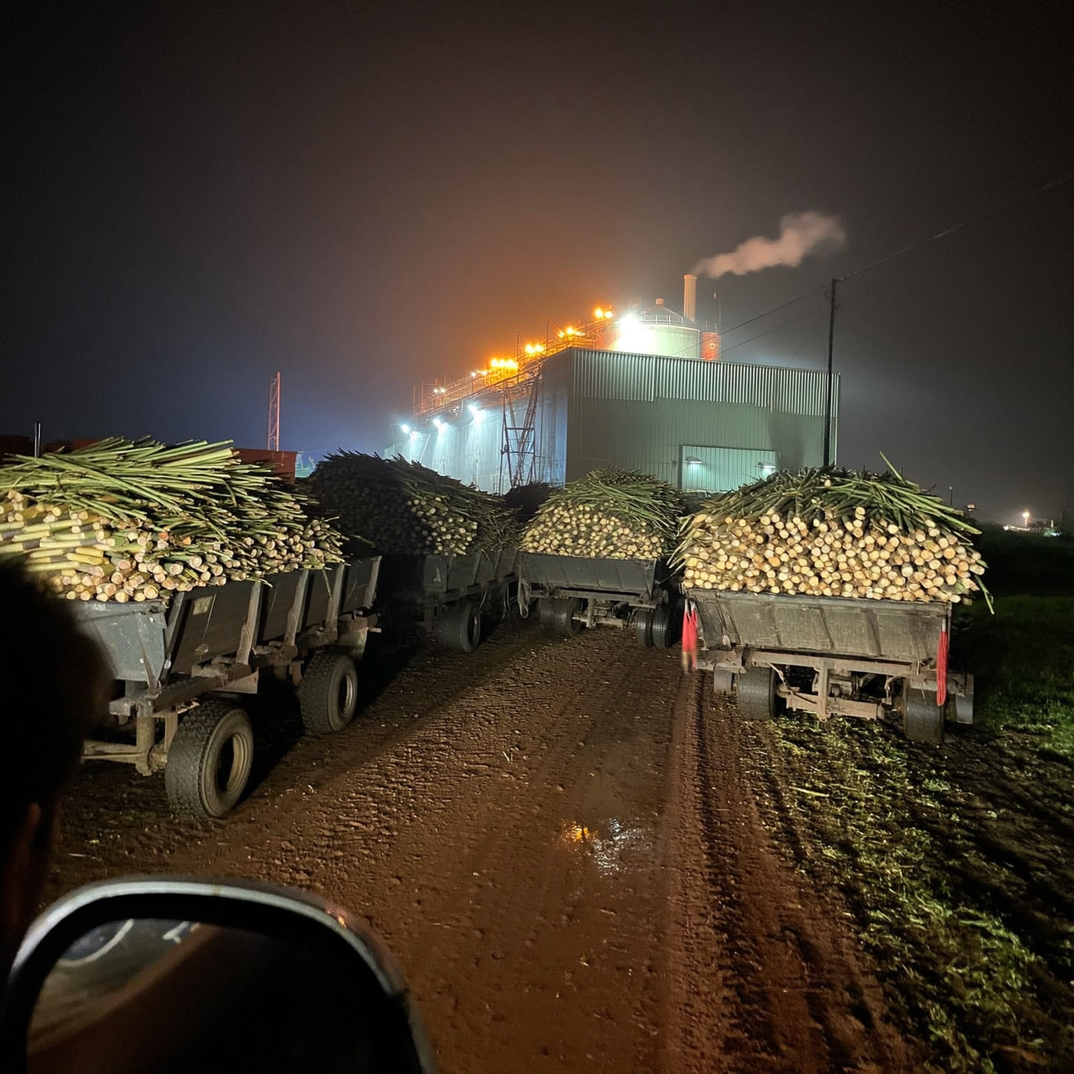 Luke Harris Facebook ad: This tool would have saved my sugarcane