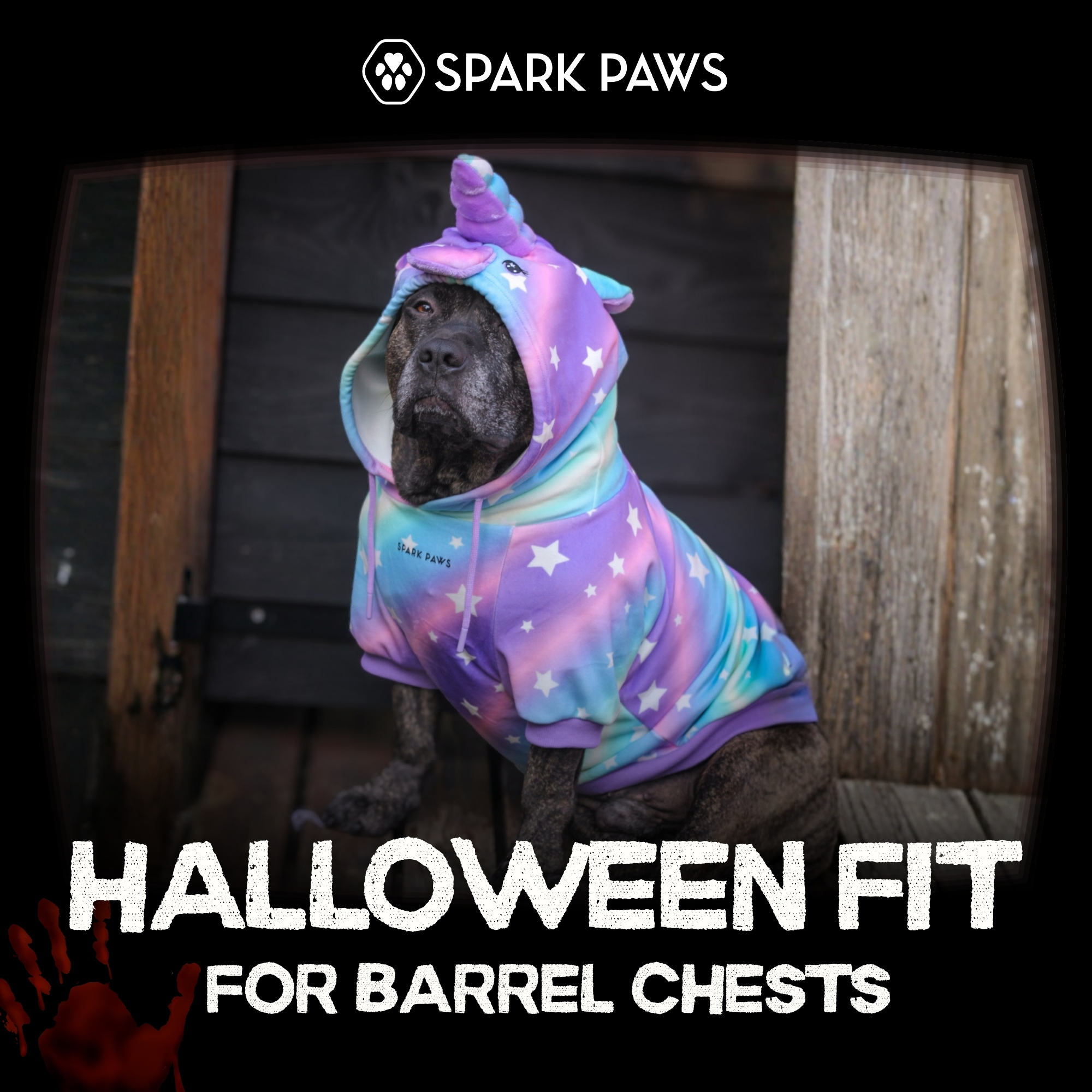 Spark Paws Facebook ad