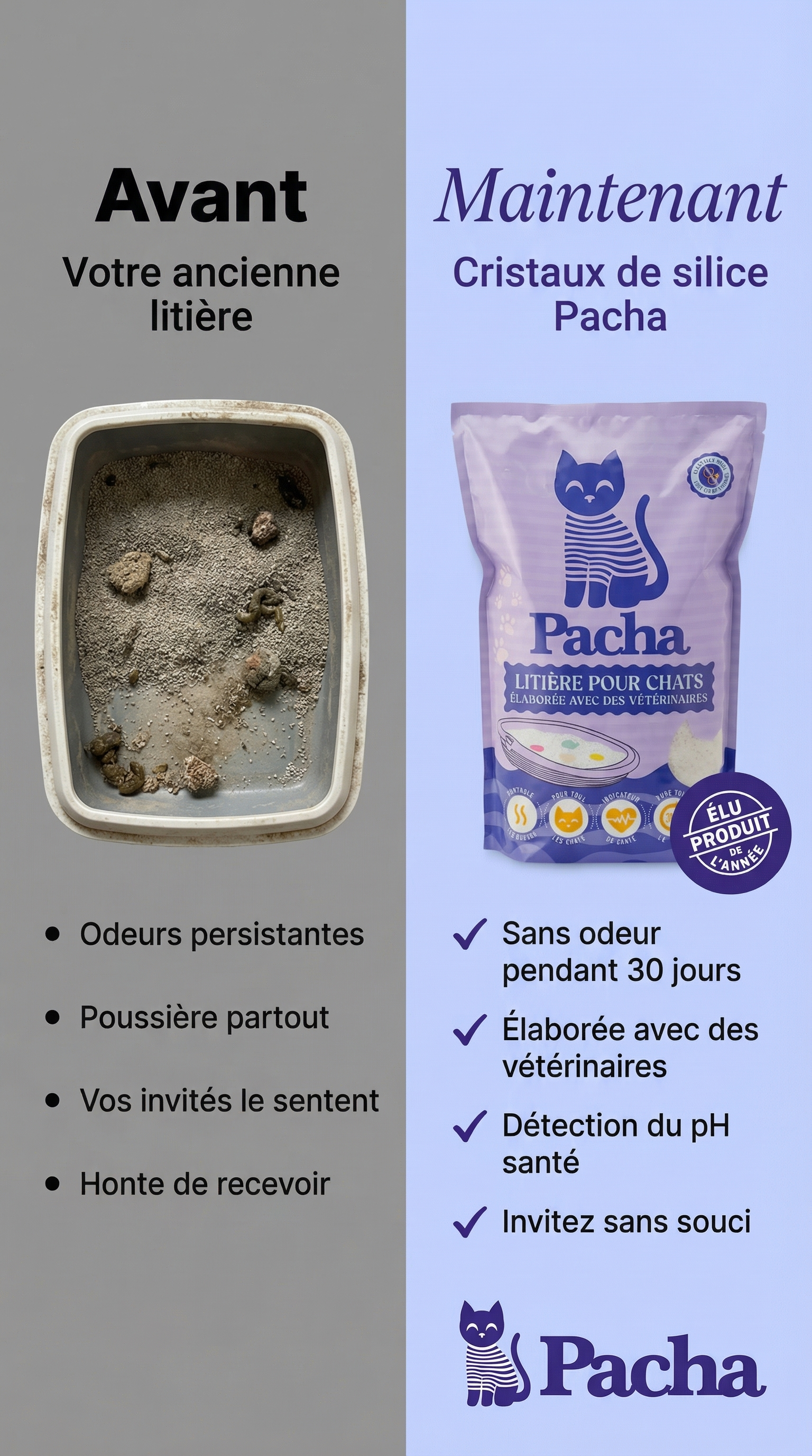 Pacha Facebook ad