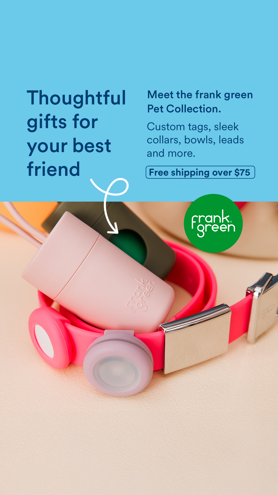 frank green Facebook ad