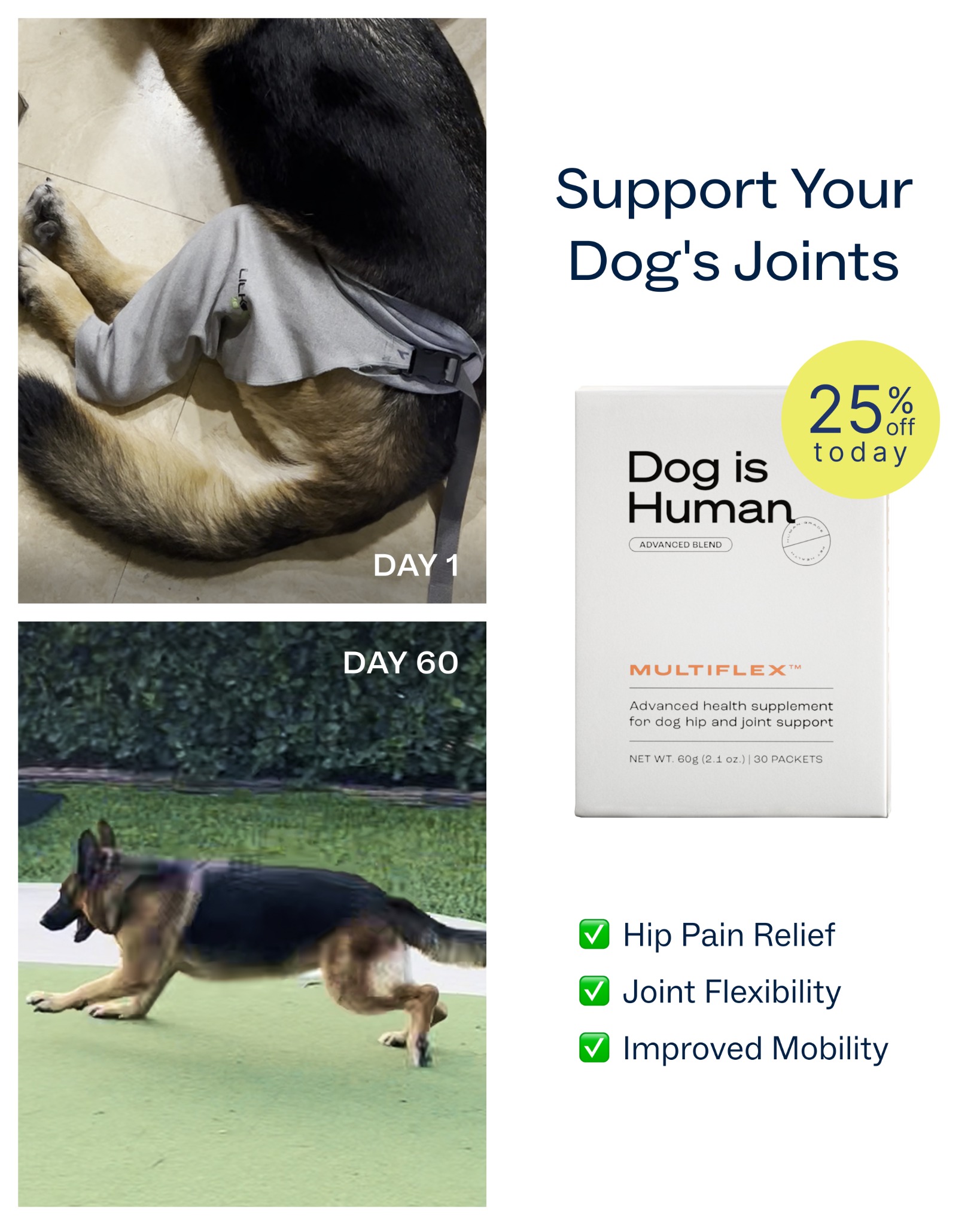 Dog is Human Facebook ad