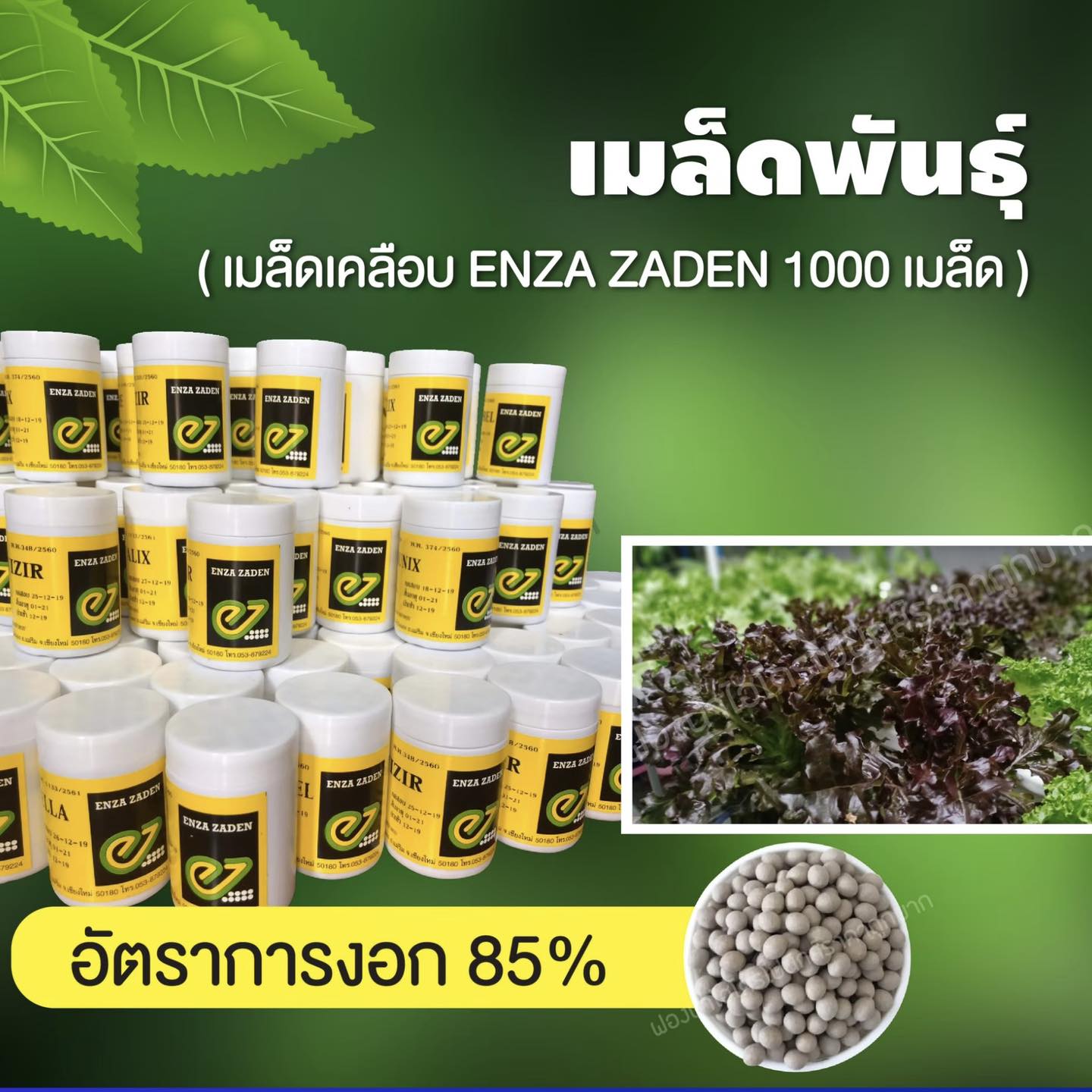 ฟองน้ำไฮโดรโปนิกส์ราคาถูกมาก Facebook ad: สนใจรายการไหน ทักมาสอบถามได้ค่า