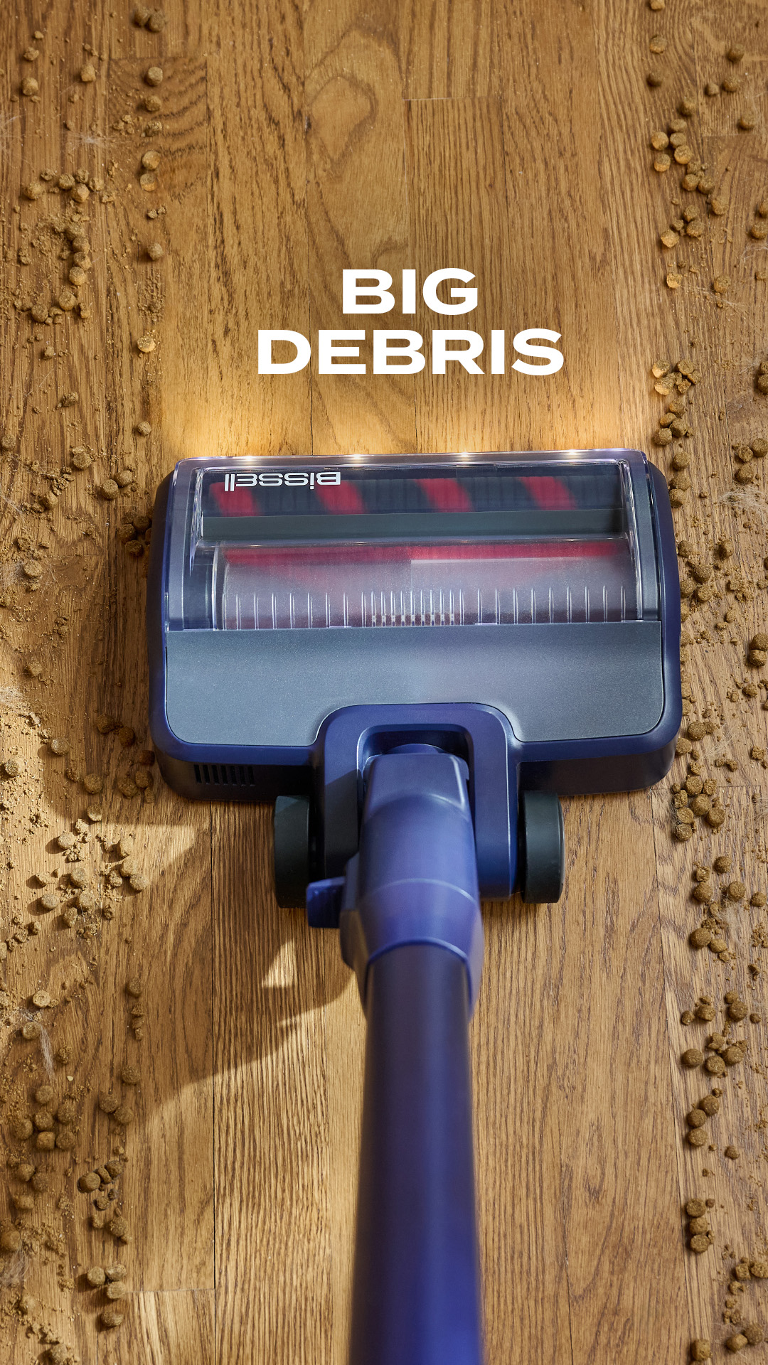 BISSELL Facebook ad