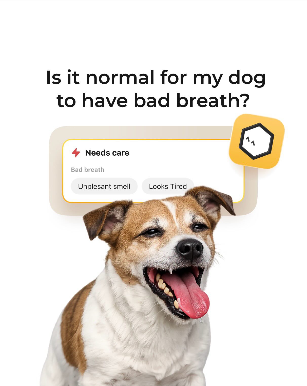 Petcube Facebook ad