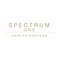 Spectrum One Hair Extensions