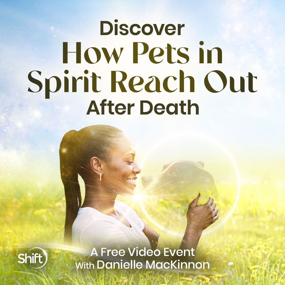 The Shift Network Facebook ad