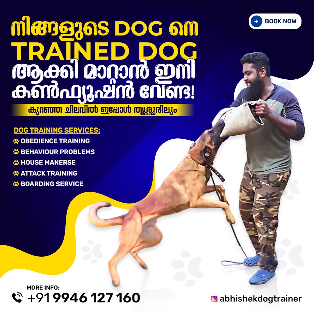 Dog Training Facebook ad