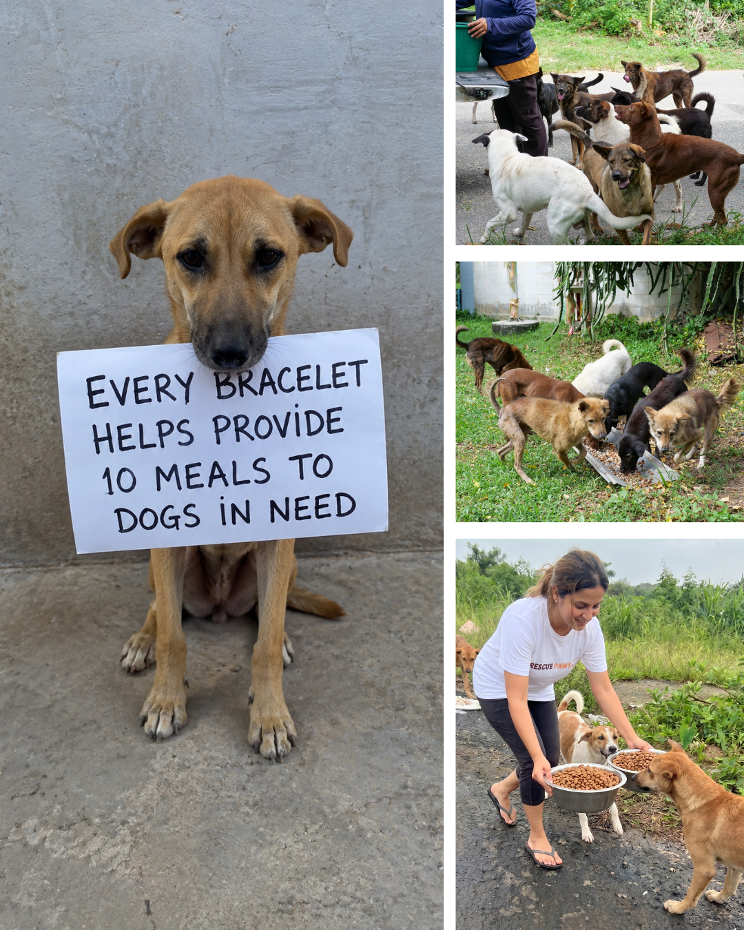 Rescue Paws Facebook ad