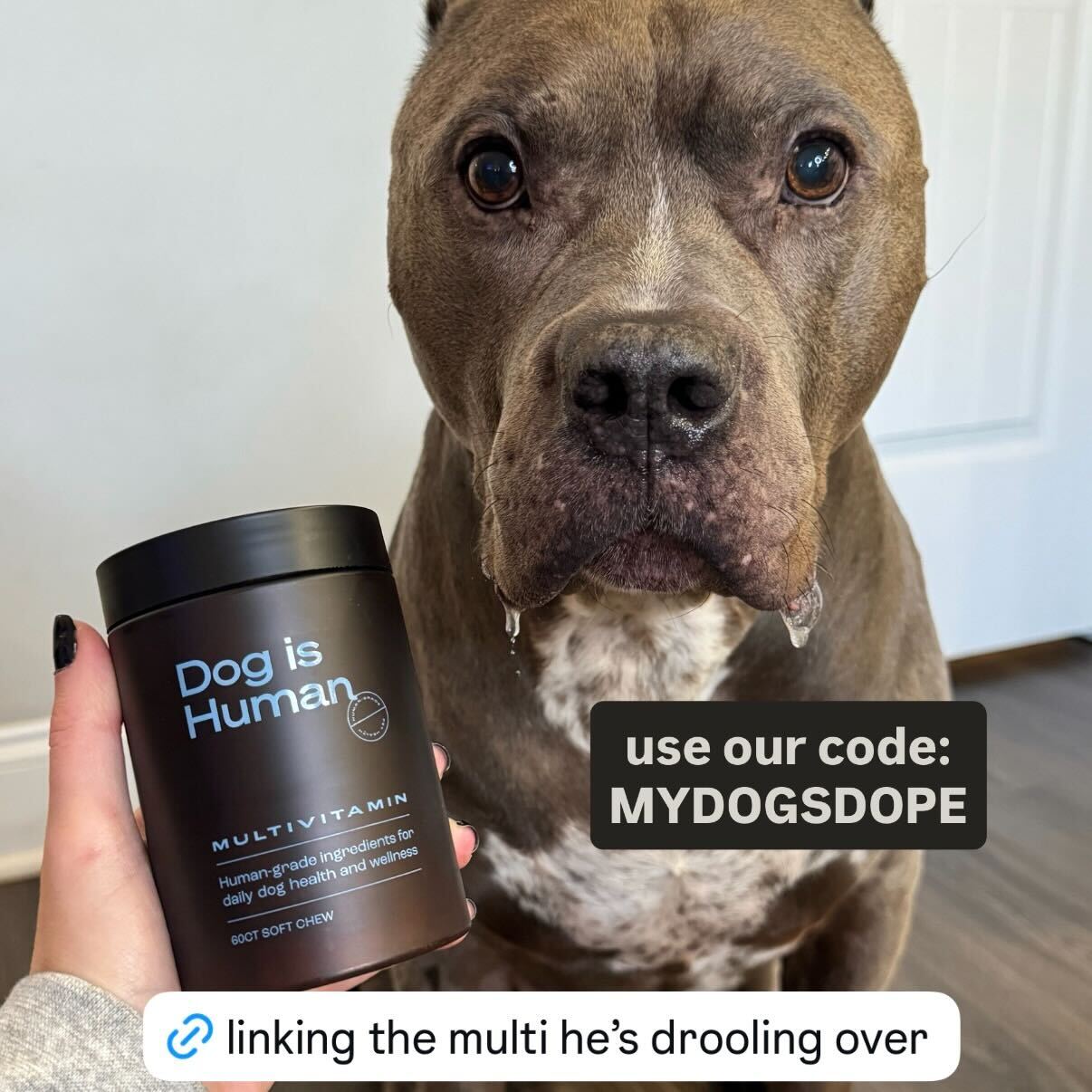 My Dogs Dope Facebook ad from Feb 13, 2026