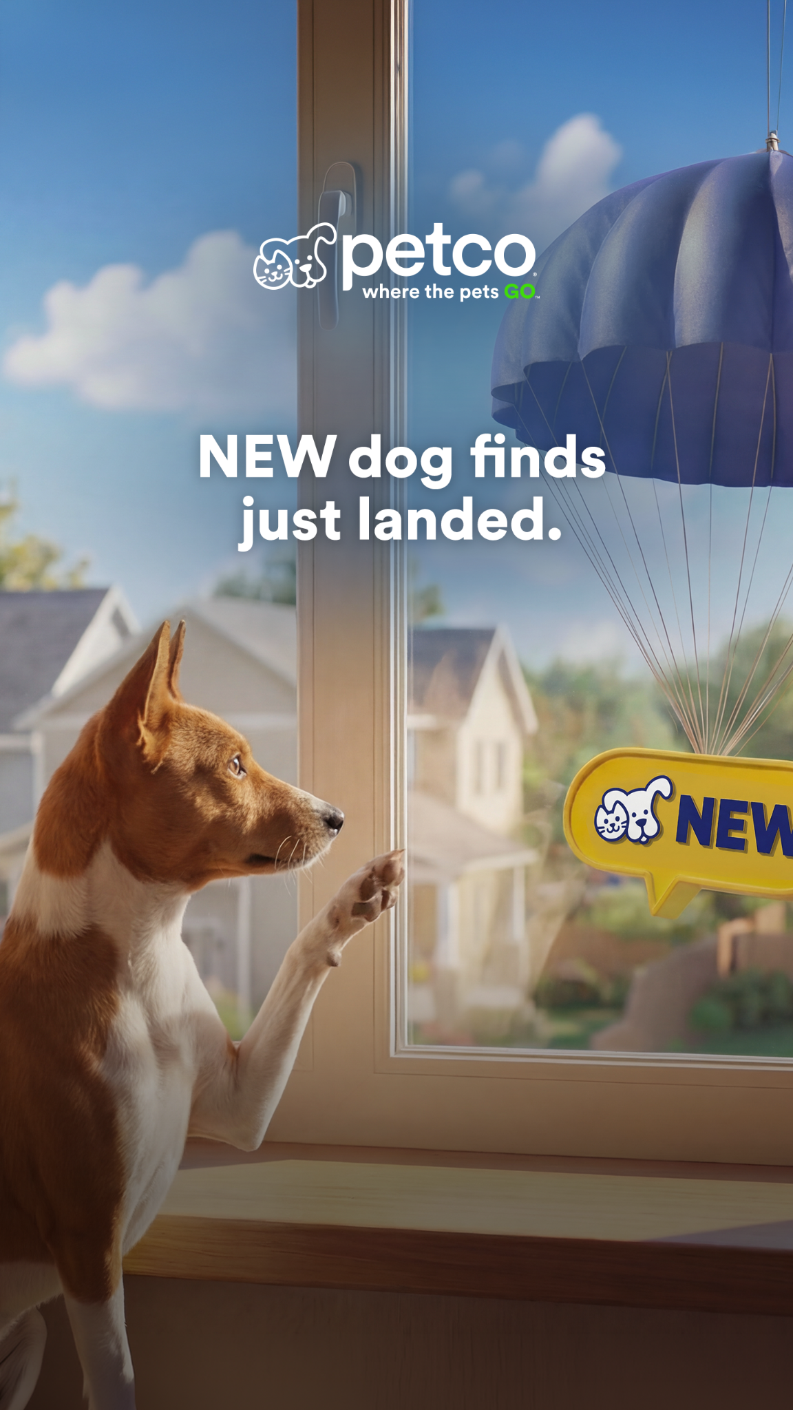 Petco Facebook ad