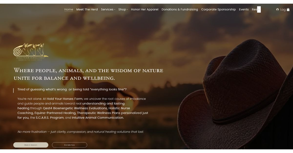 Hold Your Horses, Holistic Wellness Farm Facebook ad: What’s Draining Your Energy?