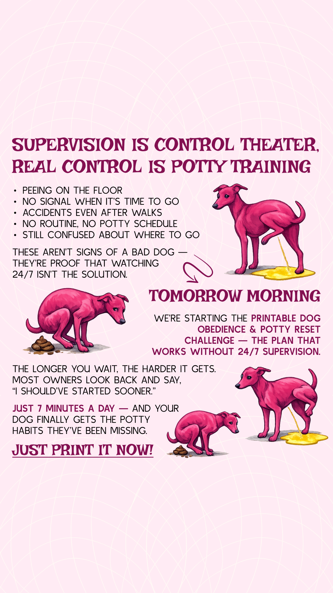 PawChamp Facebook ad