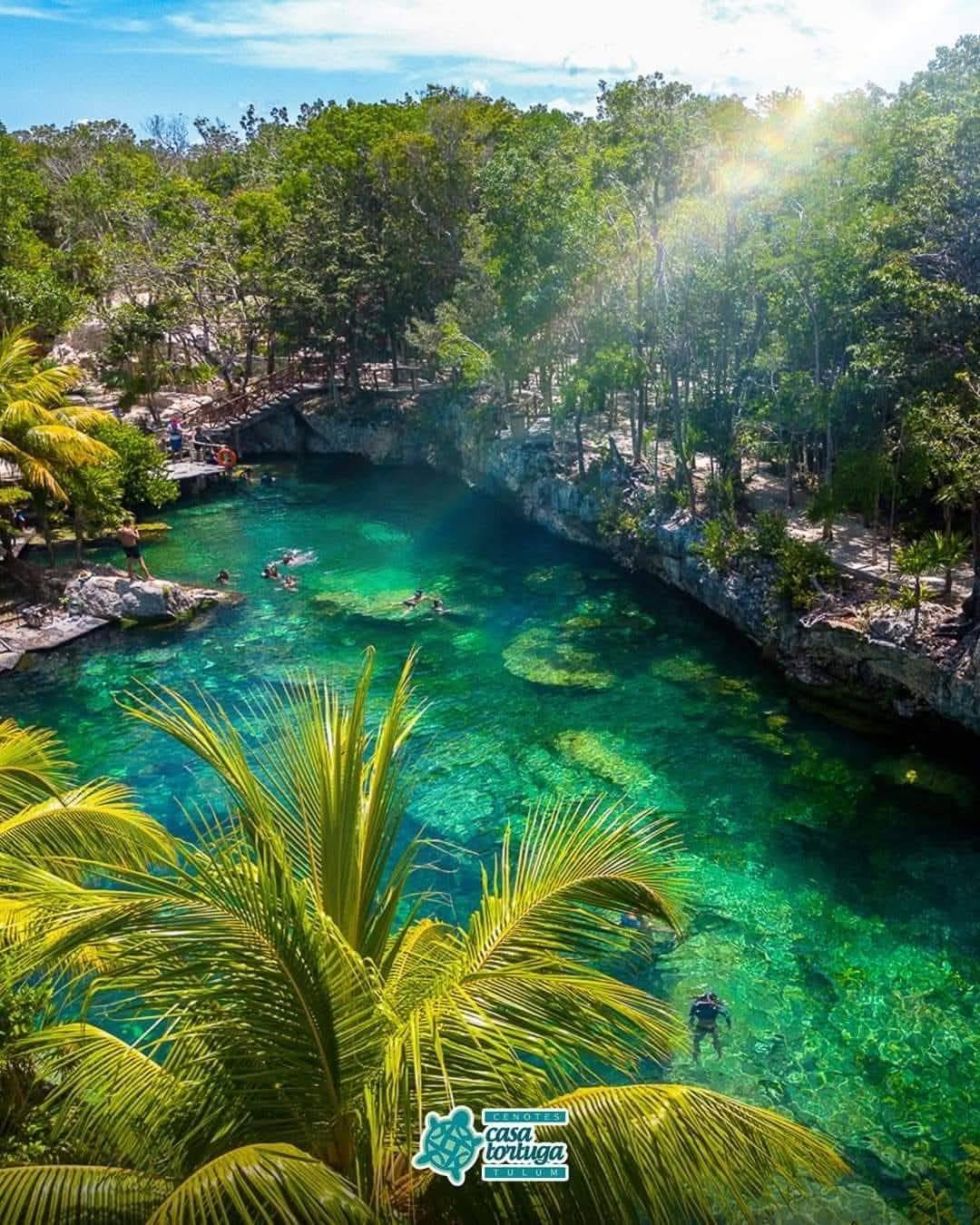 Mahalo Tours Mexico Facebook ad: ππππ πππππππ πππ¬ππ $350 π©ππ¬π¨π¬ pagandoβ¦