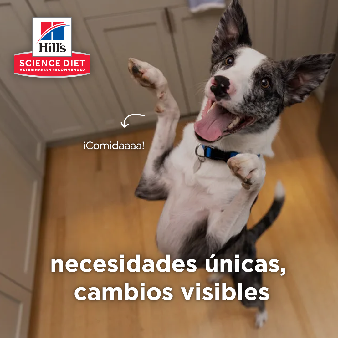 Hill's Pet Colombia Facebook ad