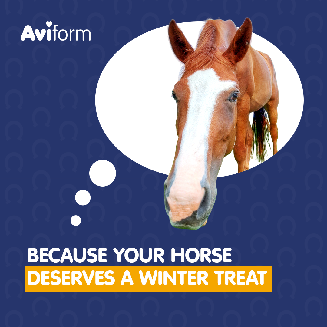 Aviform Nutrition UK - Horse & Dog Facebook ad